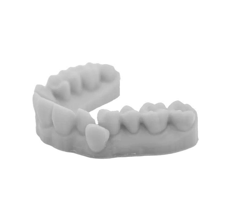 Dental Application - Dental Model